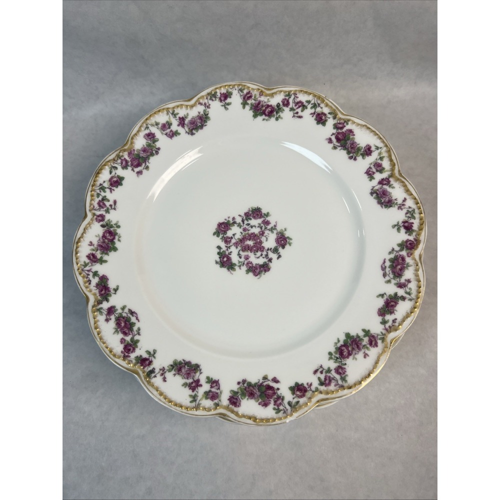Haviland & Co Limoges Schleiger 270‎ Luncheon Plates. 8.5" ~Set Of 6~ France